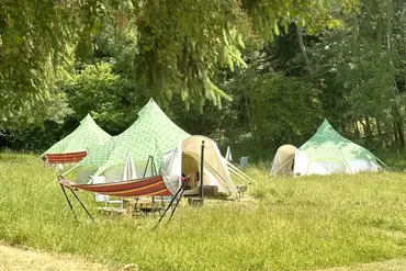 Bell tents overview at at Owley Woods Glamping