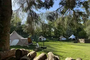 Owley Woods Glamping, Bradley Cross, Cheddar, Somerset
