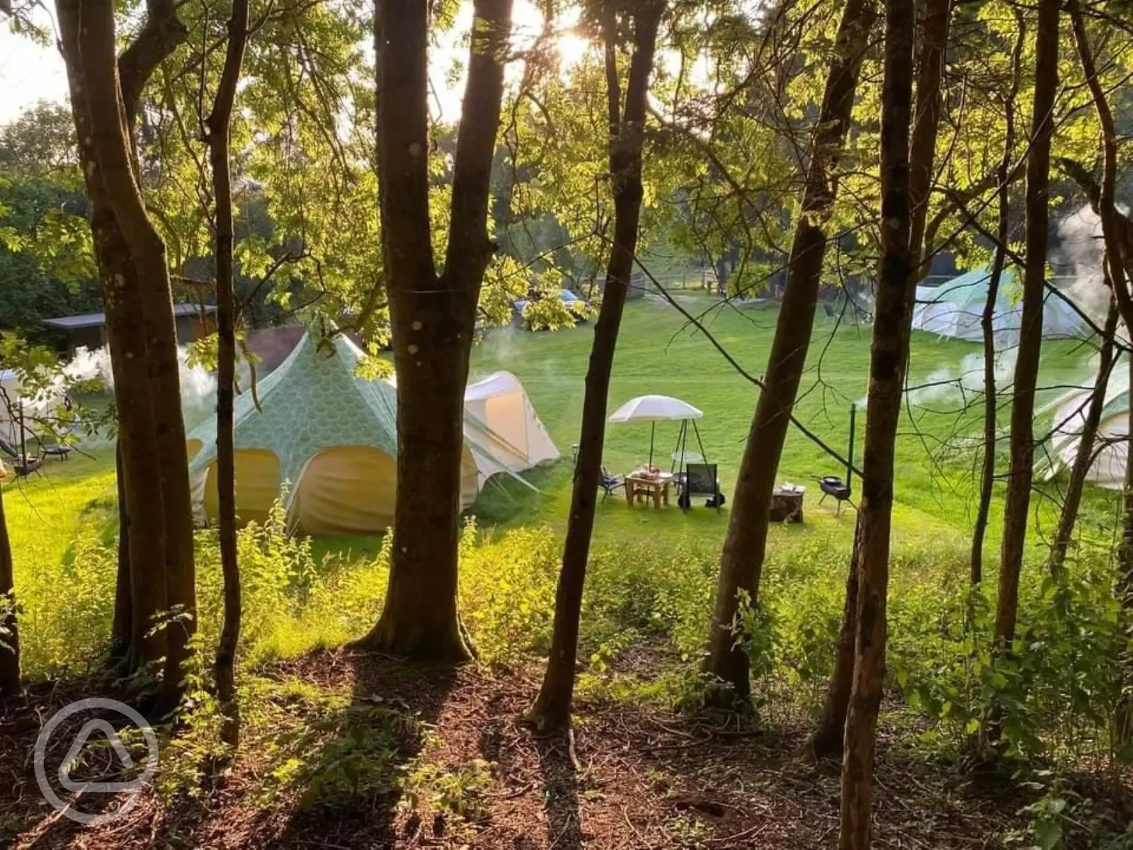 Bell tents through the woodland