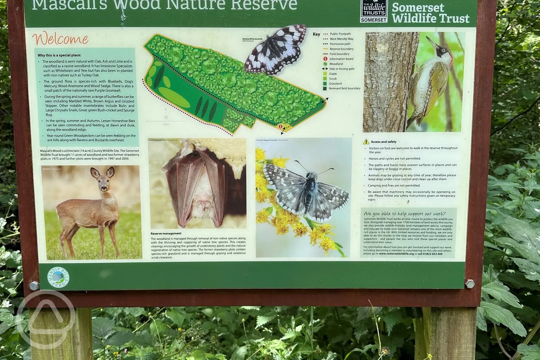 Mascall's Wood Nature Reserve