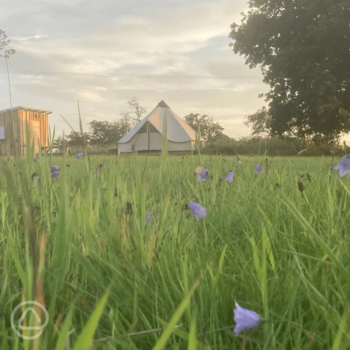 butterflies and bell tents