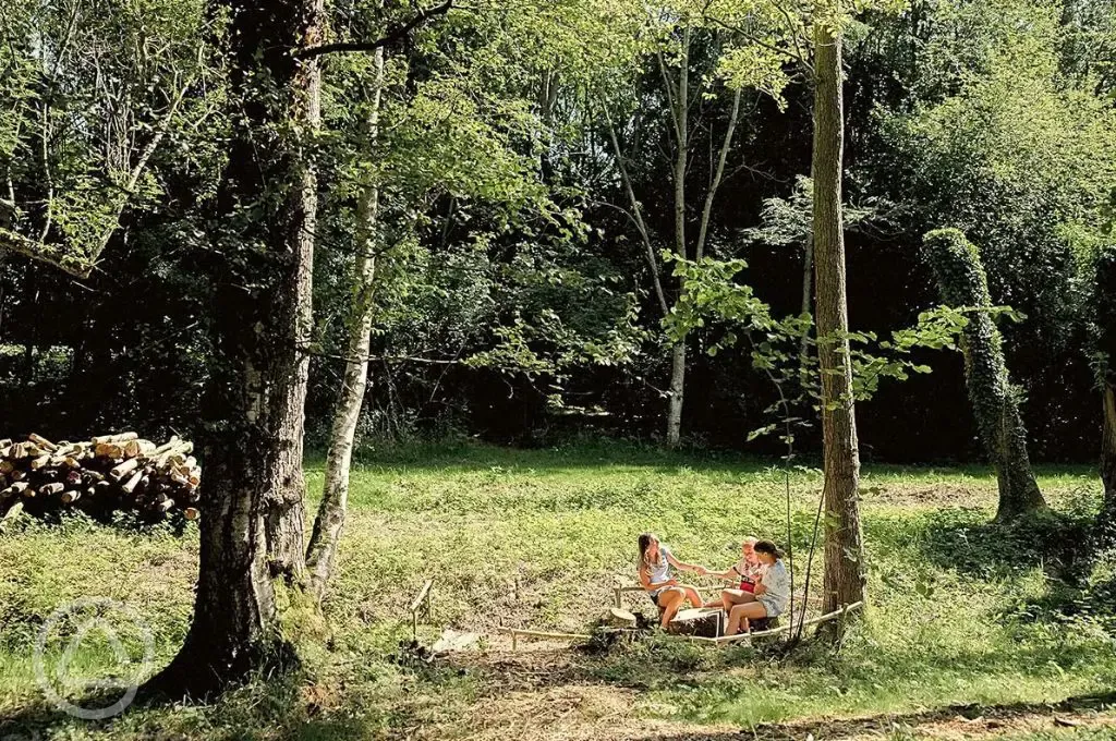Kids playing in woodland