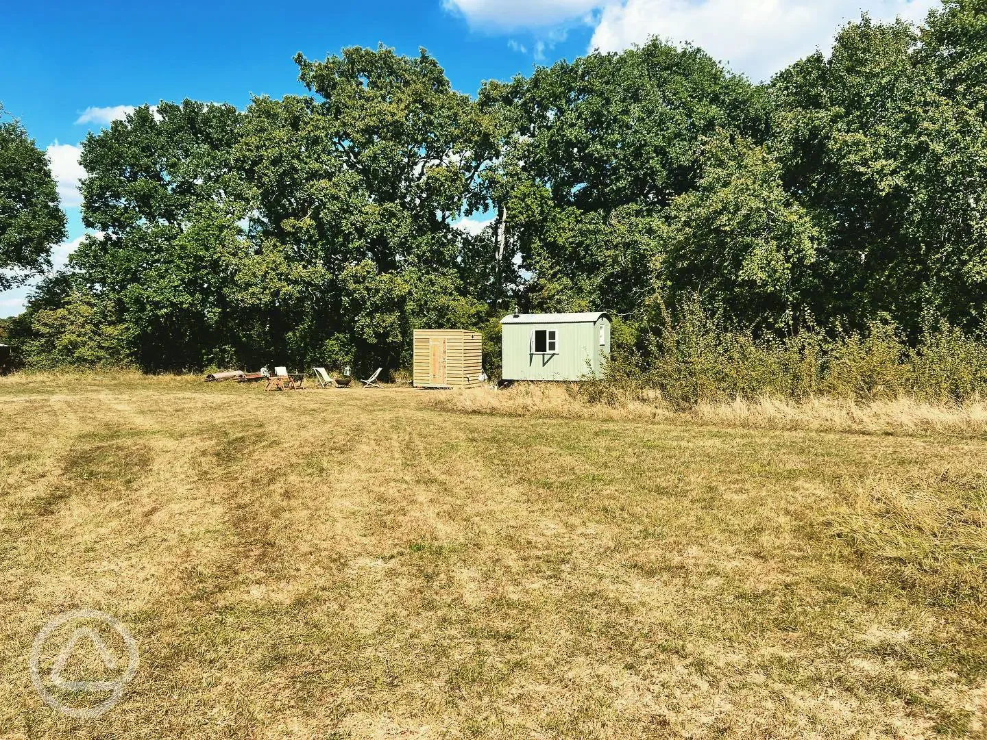 Stitchwort shepherd's hut 