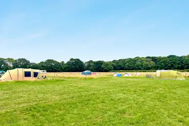 Non electric grass pitches at Cattlestone Farm
