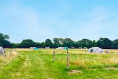 Non electric grass pitches at Cattlestone Farm