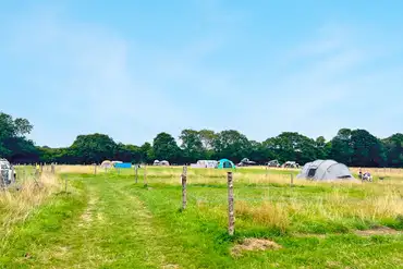Non electric grass pitches at Cattlestone Farm