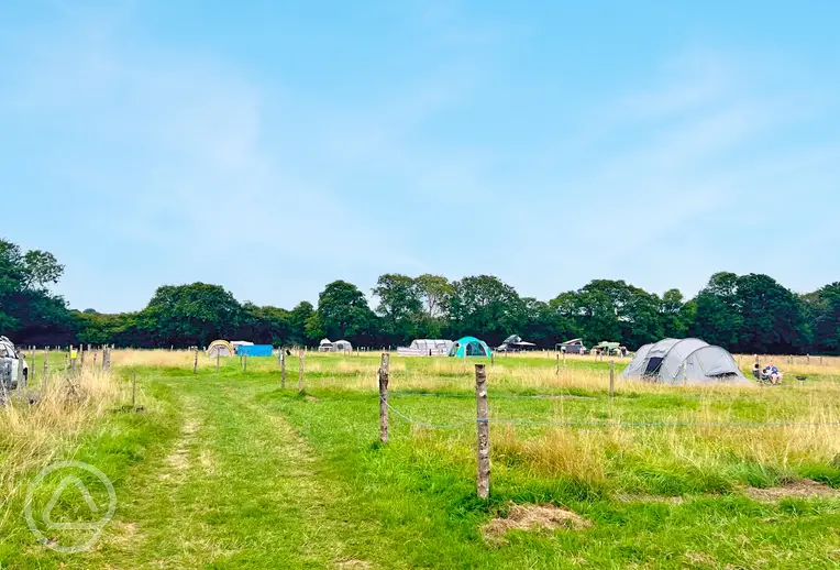 Non electric grass pitches at Cattlestone Farm