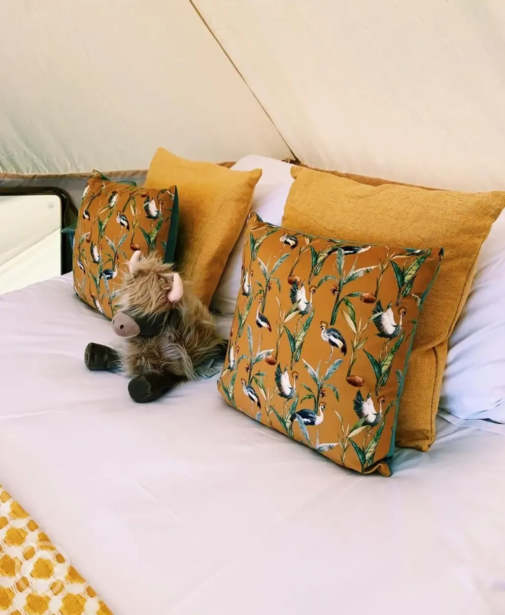 Bell tent interior 