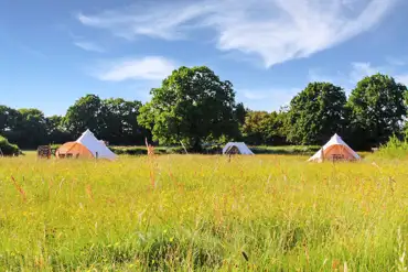 Camping and bell tent field