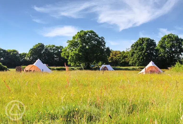 Camping and bell tent field