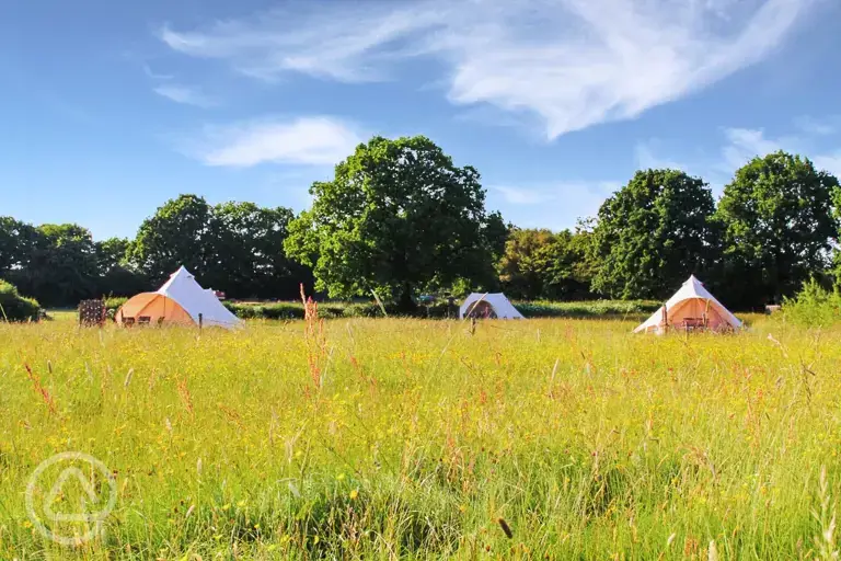 Camping and bell tent field