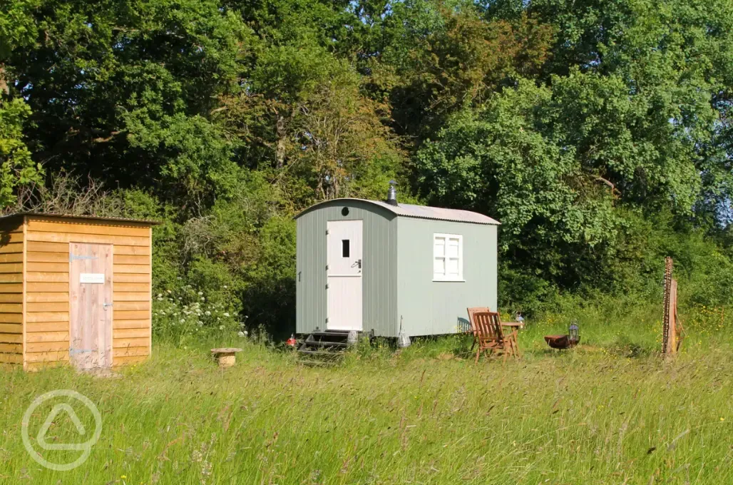 Stitchwort shepherd's hut