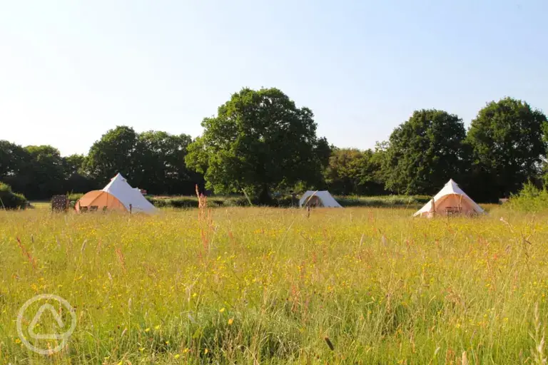 Camping and bell tent field