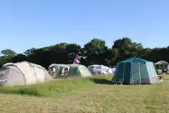 Non electric grass tent pitches at Cattlestone Farm Non electric grass tent pitches at Cattlestone Farm