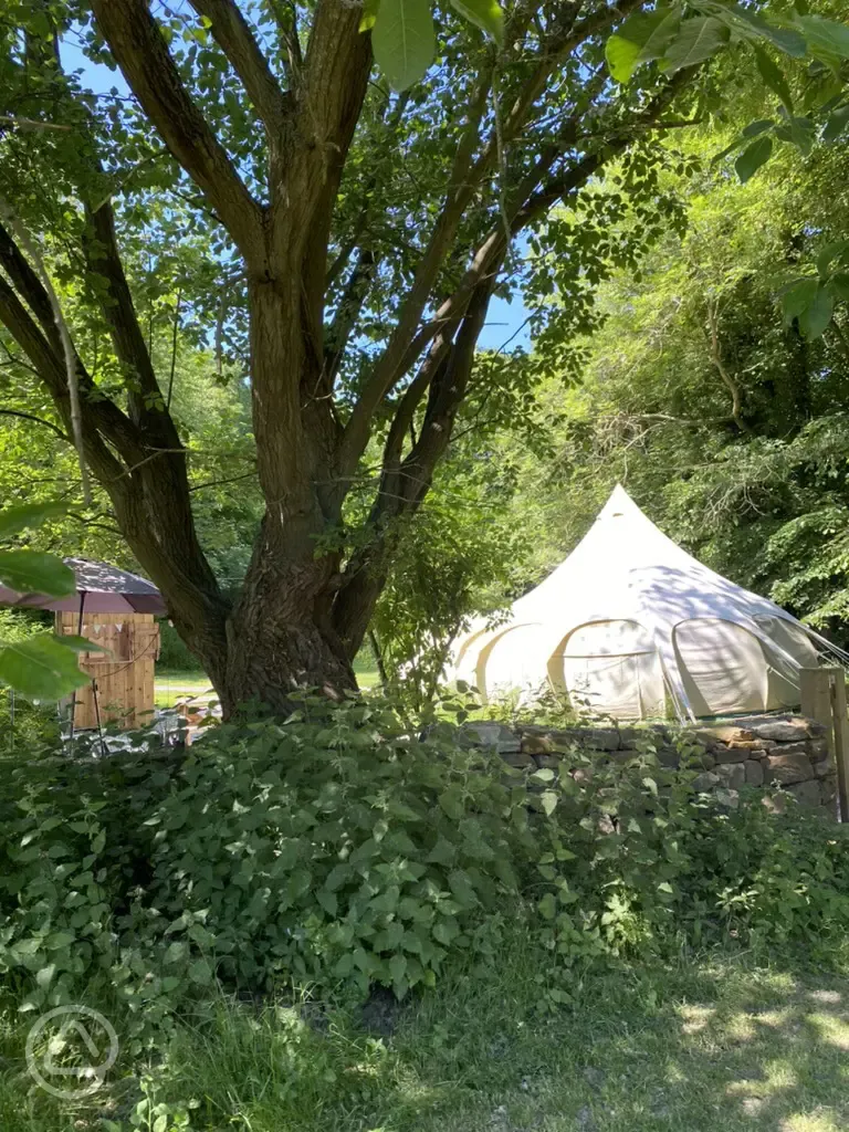 Roe Deer bell tent