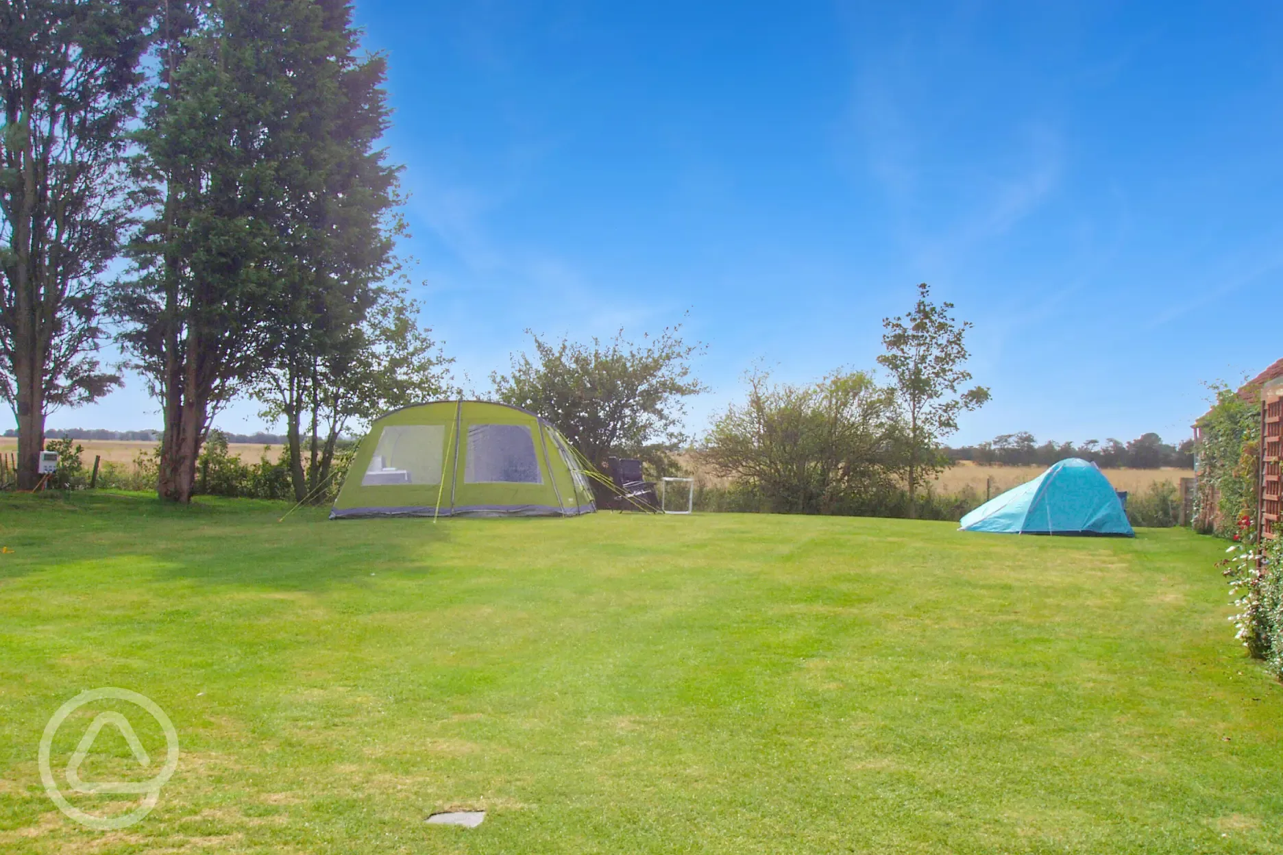 Electric grass tent pitches backed by trees