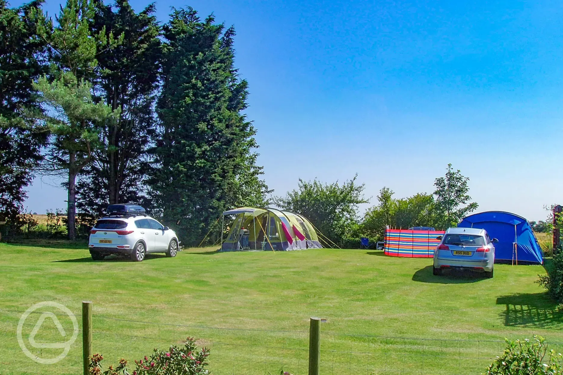 Electric grass tent pitches backed by trees at Pear Tree Cottage at Poplar Farm