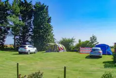 Electric grass tent pitches backed by trees at Pear Tree Cottage at Poplar Farm