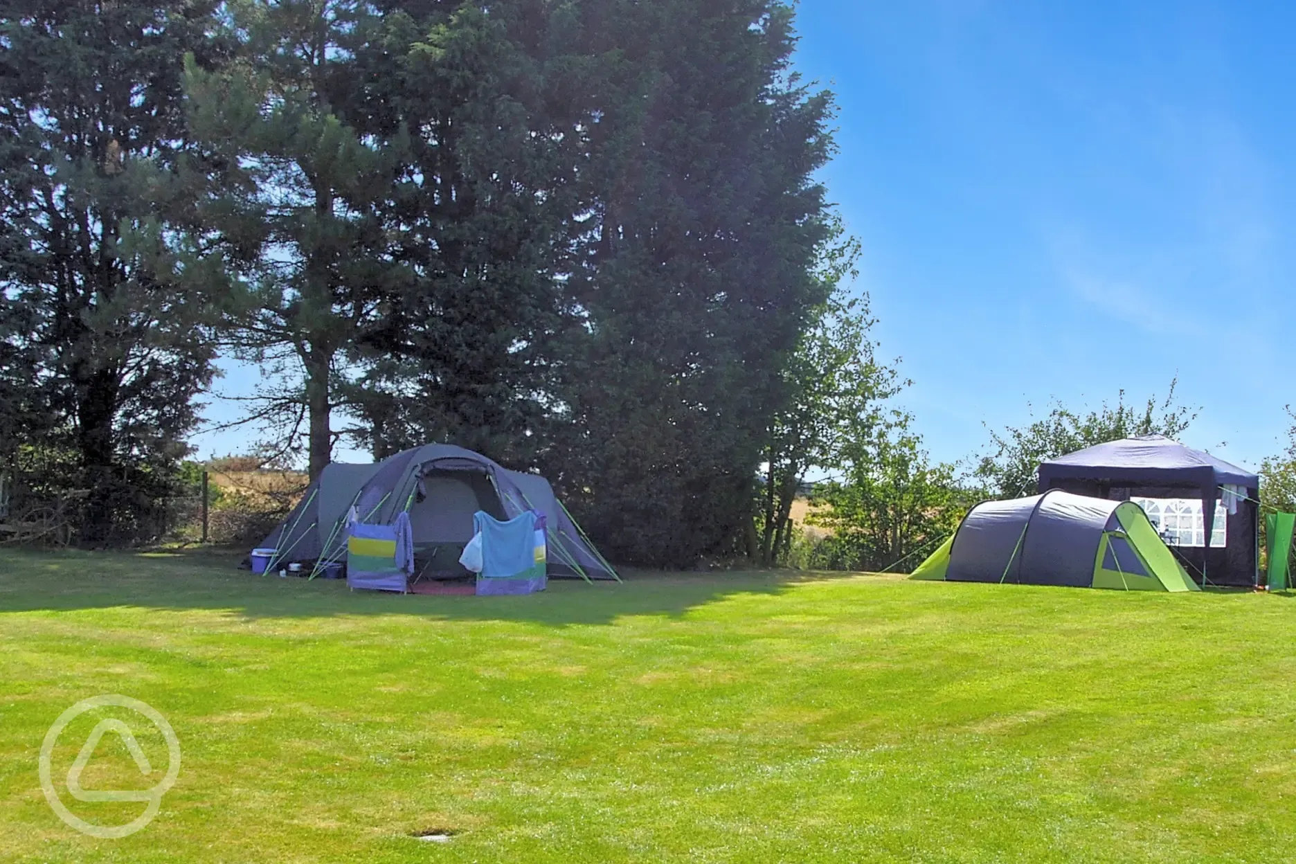 Electric grass tent pitches backed by trees