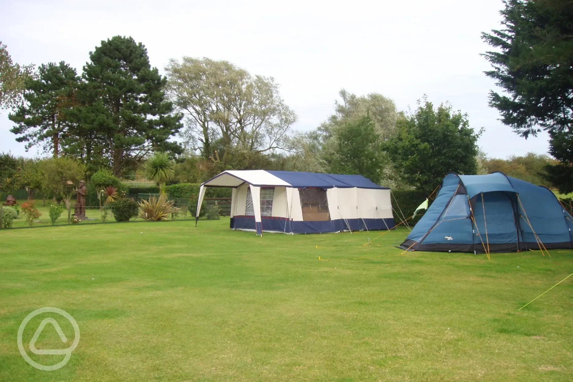 Electric grass tent pitches with landscaped grounds