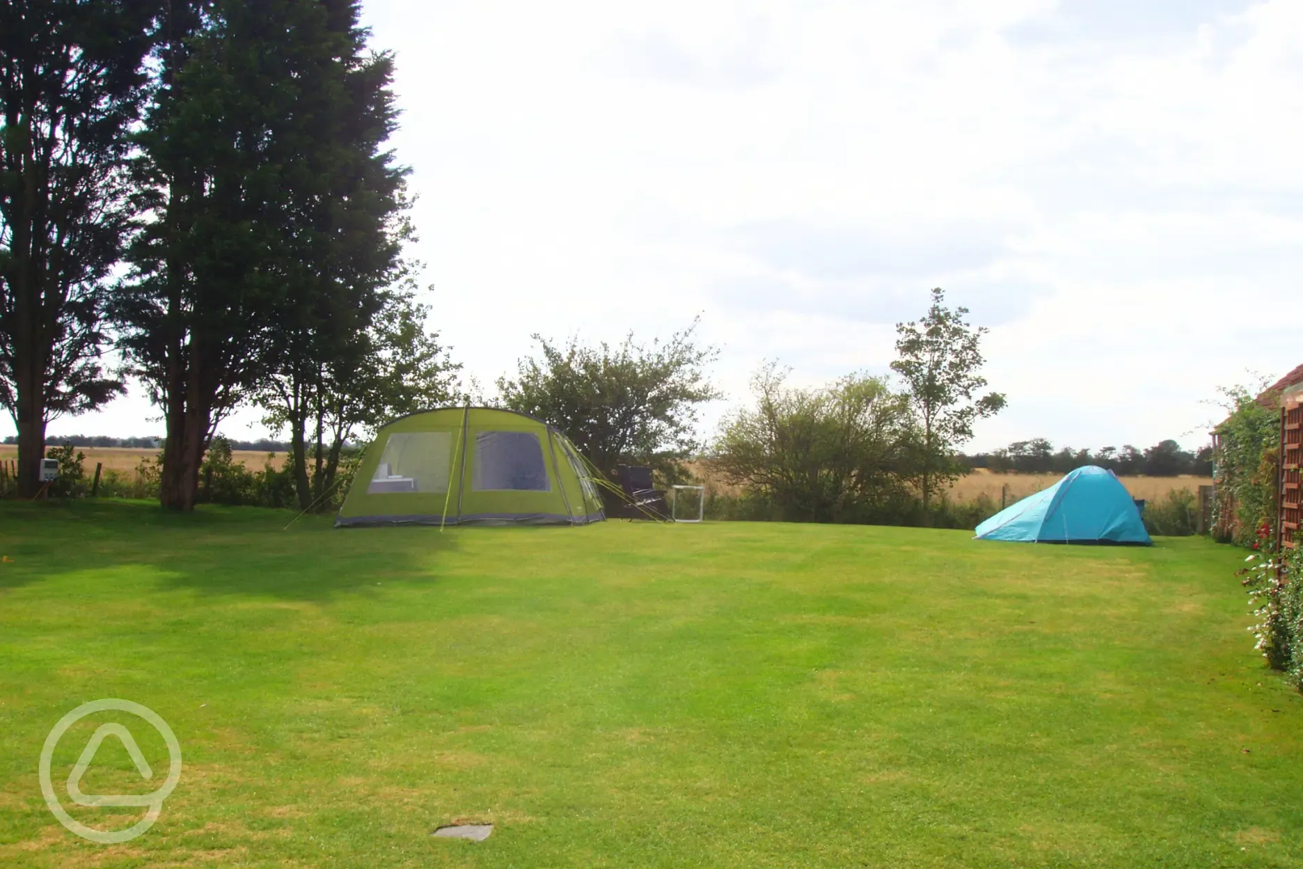 Electric grass tent pitches backed by trees