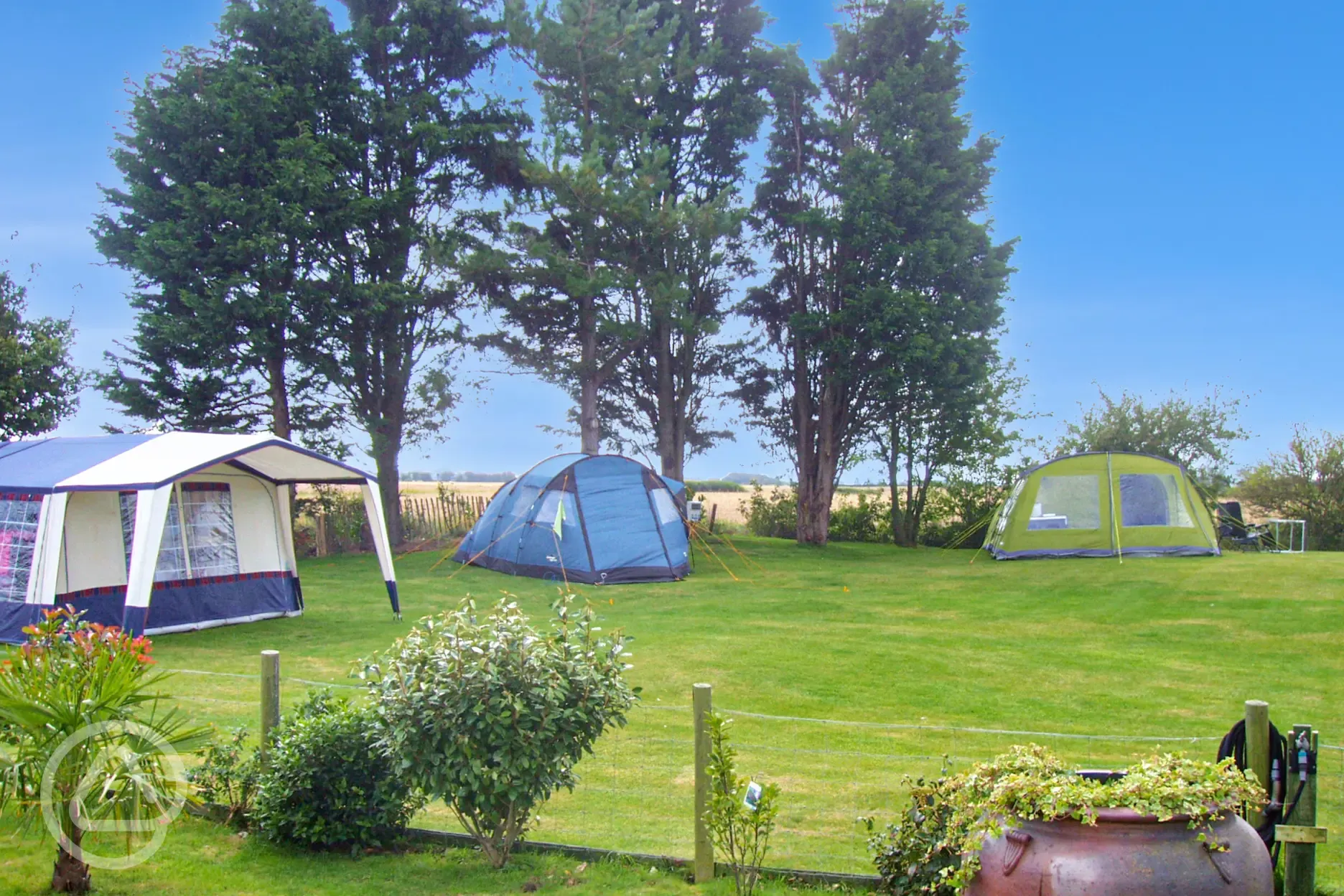 Electric grass tent pitches backed by trees with a fence divider