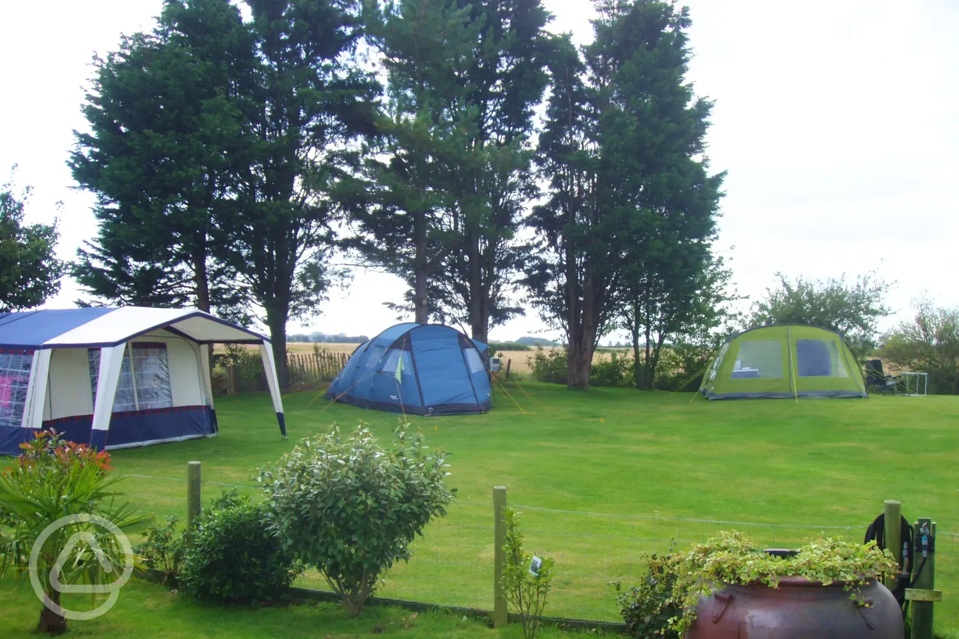 Electric grass tent pitches backed by trees with a fence divider