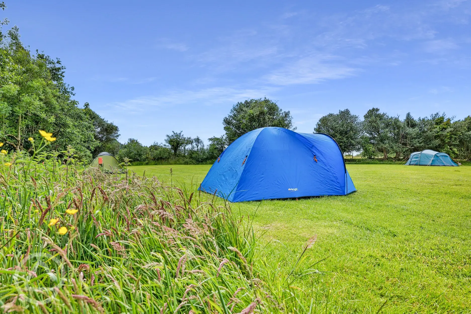 Tent on a spacious non electric grass tent pitch