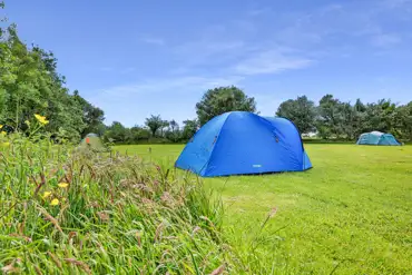 Tent on a spacious non electric grass tent pitch