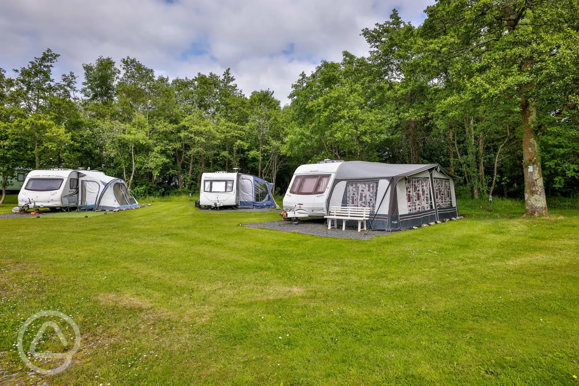 Electric hardstanding pitches surrounded by trees