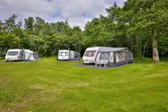 Electric hardstanding pitches surrounded by trees