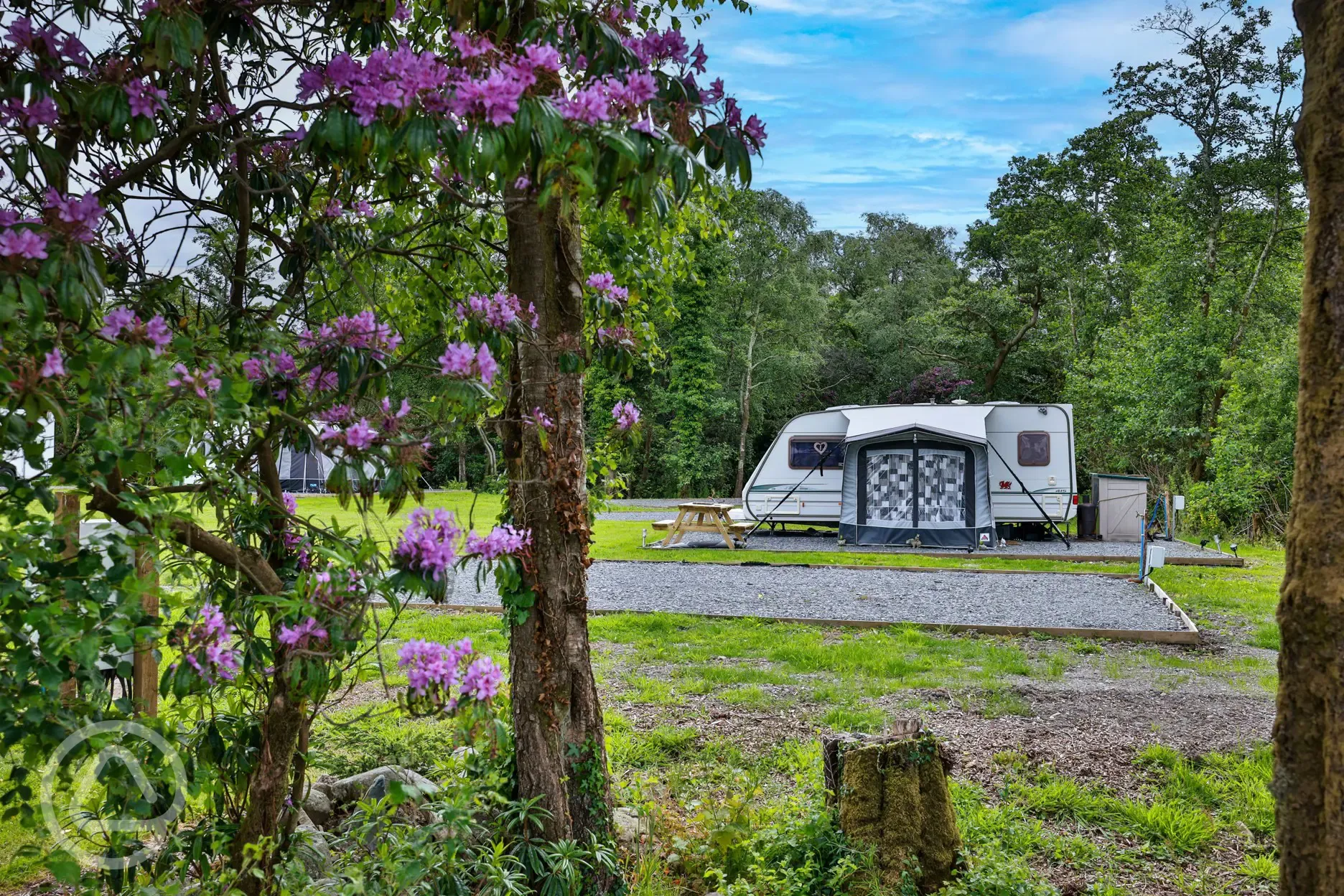 Electric hardstanding pitches in the woodland