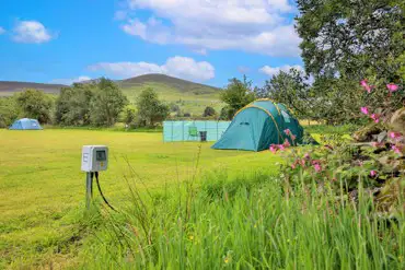 Electric grass tent pitches