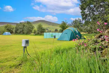 Tent on an electric grass tent pitch with 10amp electric hook up