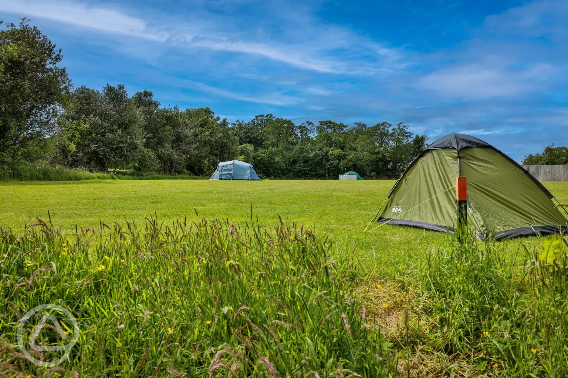 Grass tent pitches in the camping field