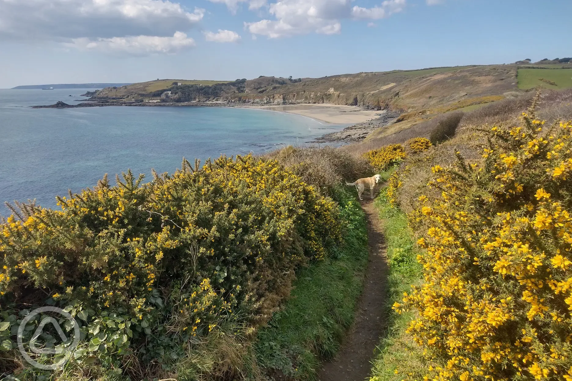 Nearby coastal path