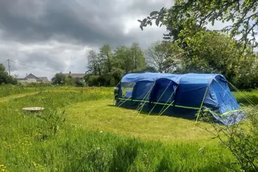 Grass pitches 