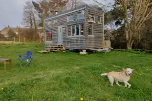 Gweek Campsite, Gweek, Helston, Cornwall (11.6 miles)