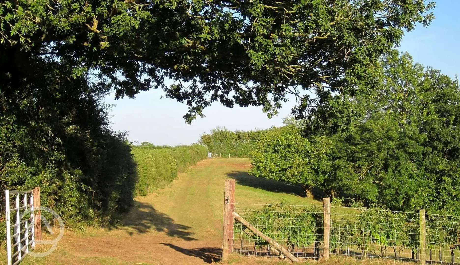 Sussex Border path