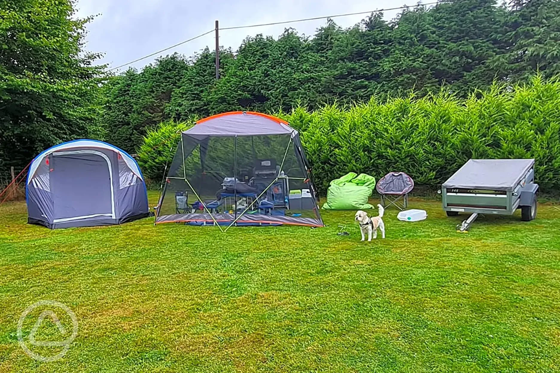 Grass pitches