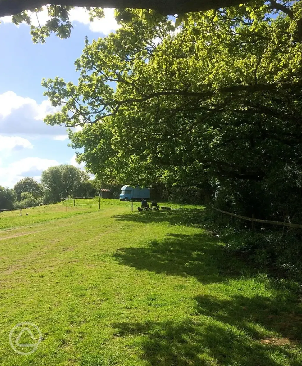 Non electric grass pitches