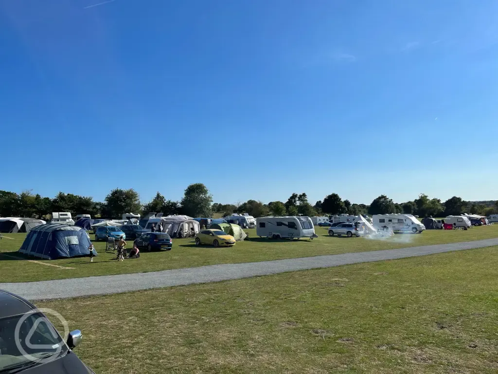 Grass pitches