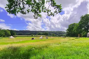 Non electric grass pitches