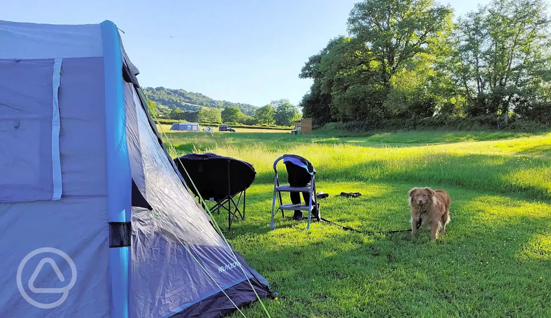 Non electric grass tent pitch 