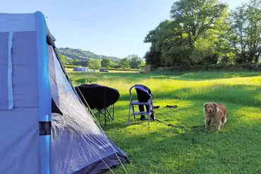 Dog friendly campsite