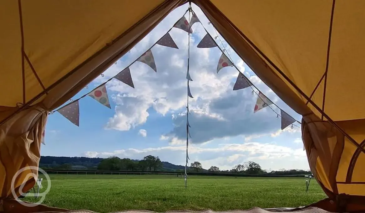 View from the bell tent