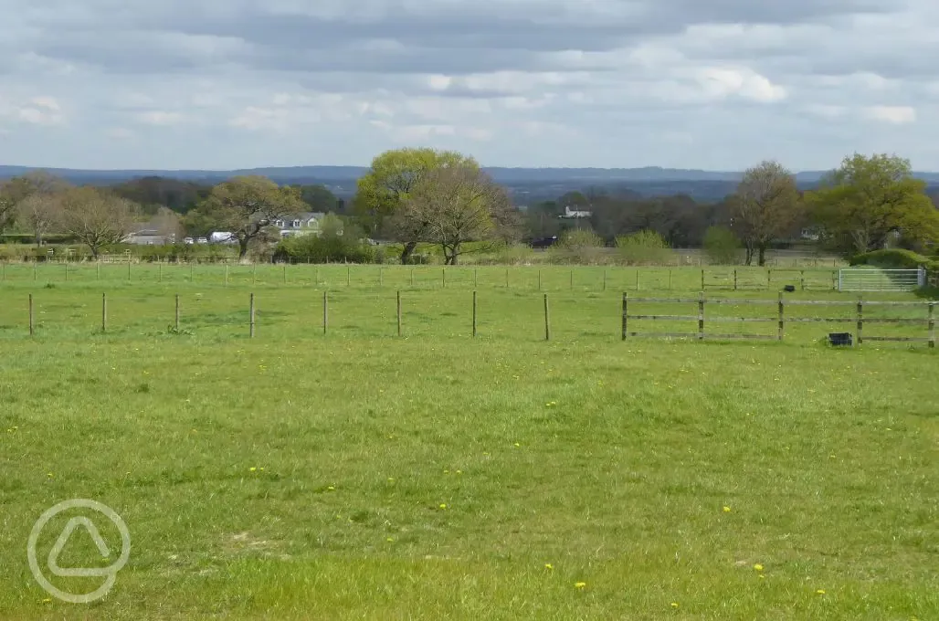Fields surrounding the ensuite glamping pods 