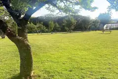 Electric grass pitches with 10 amp hook ups (15m x 15m)