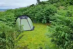 Small non electric grass tent pitch