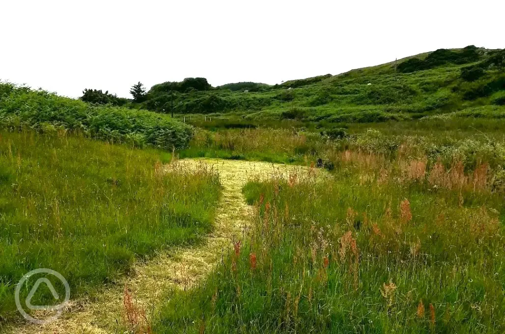 Small non electric grass tent pitch